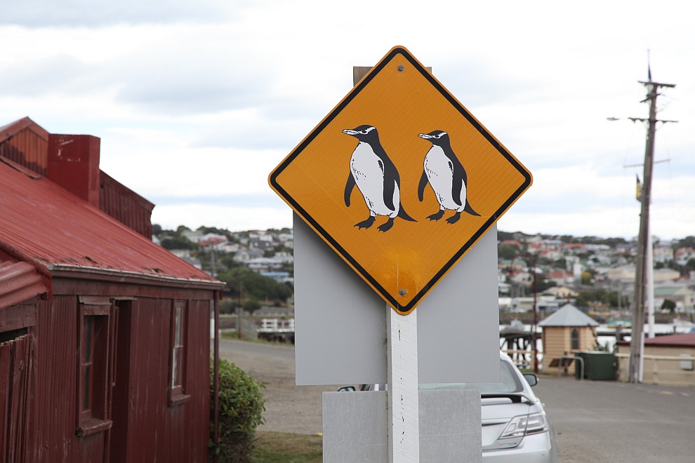 Pinguinschild am Hafen von Oamaru