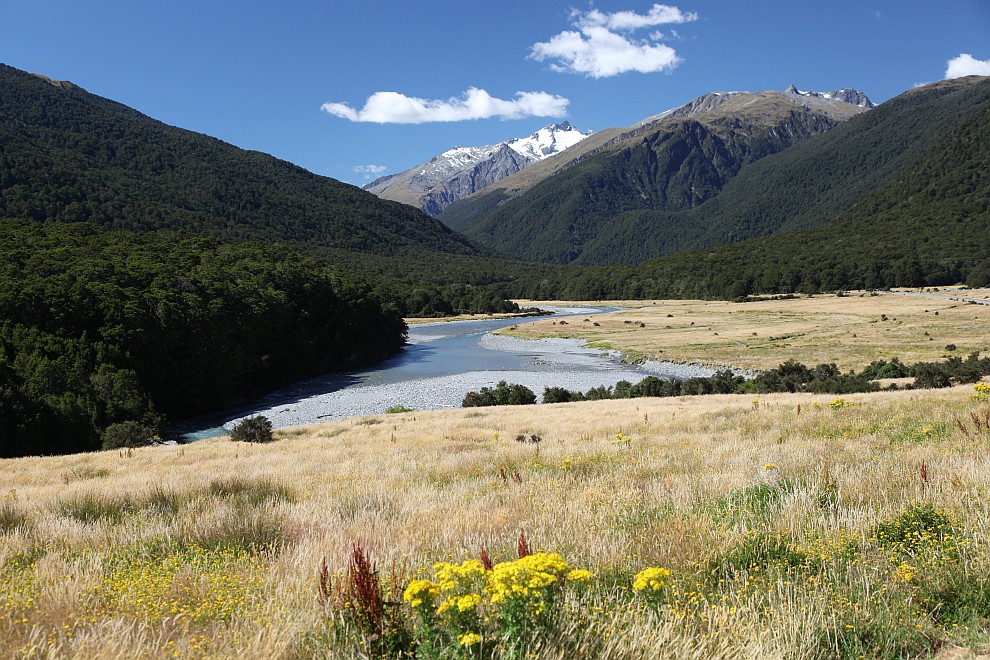 Makarora River
