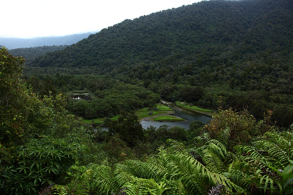 Moeraki River