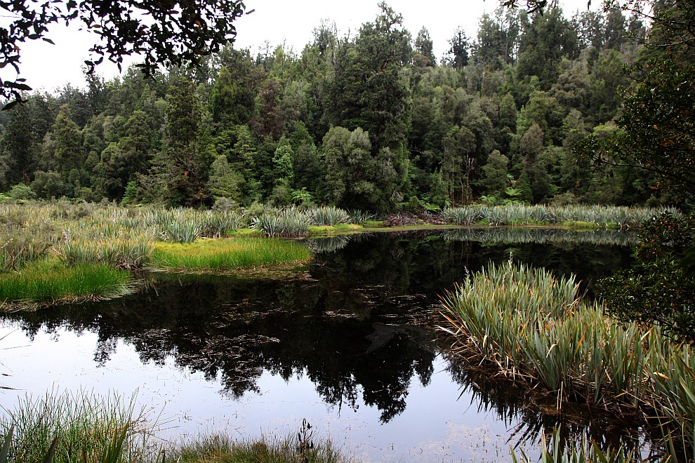 Lake Matheson