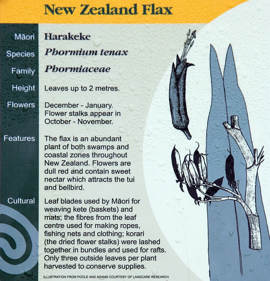 New Zealand Flax