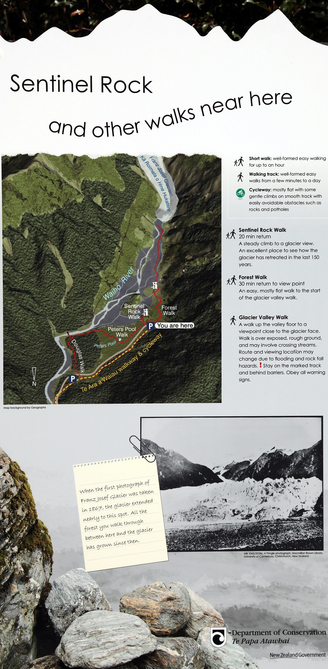 Franz Josef Glacier - 