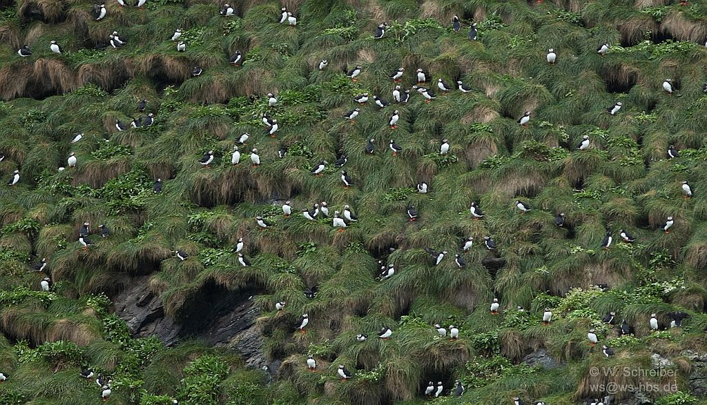 090615-154650-0024-Kolonie-2