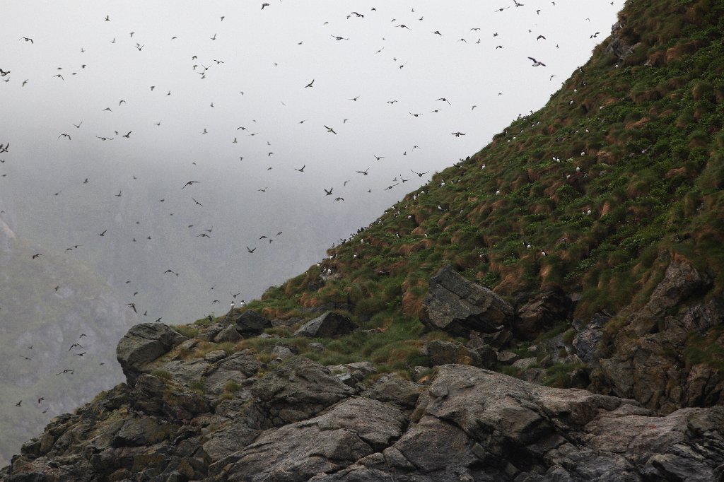 090615-154916-0030-Kolonie